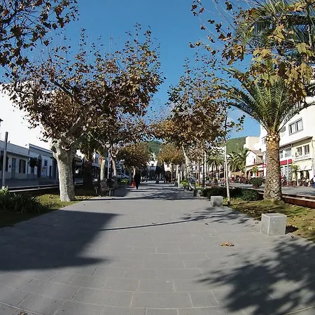 Mayol