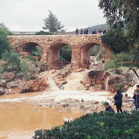 Mayol