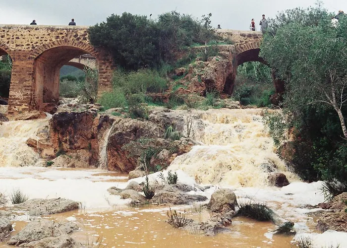 Mayol * Santa Eularia des Riu